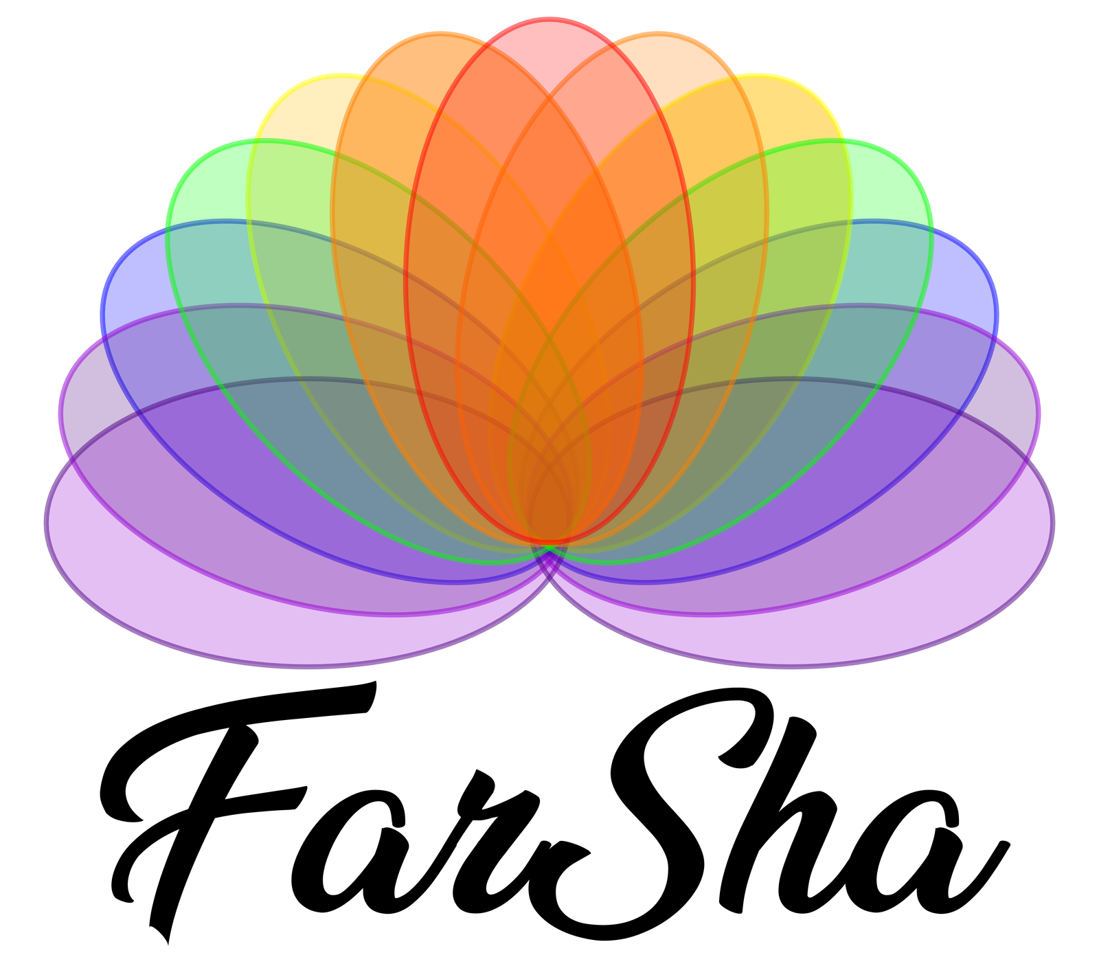 Our Company